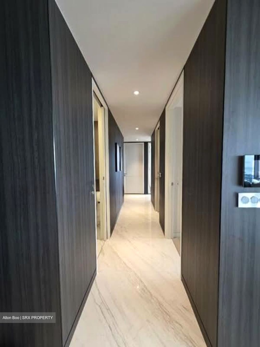 Wallich Residence  (D2), Condominium #580158091